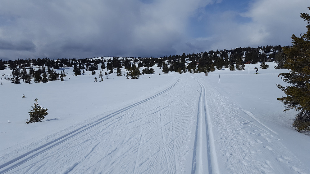 Mot løypekrysset på Storåsmyra