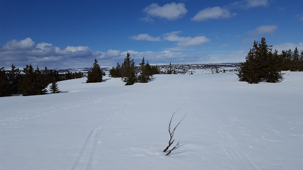 På Gjesbuåsen