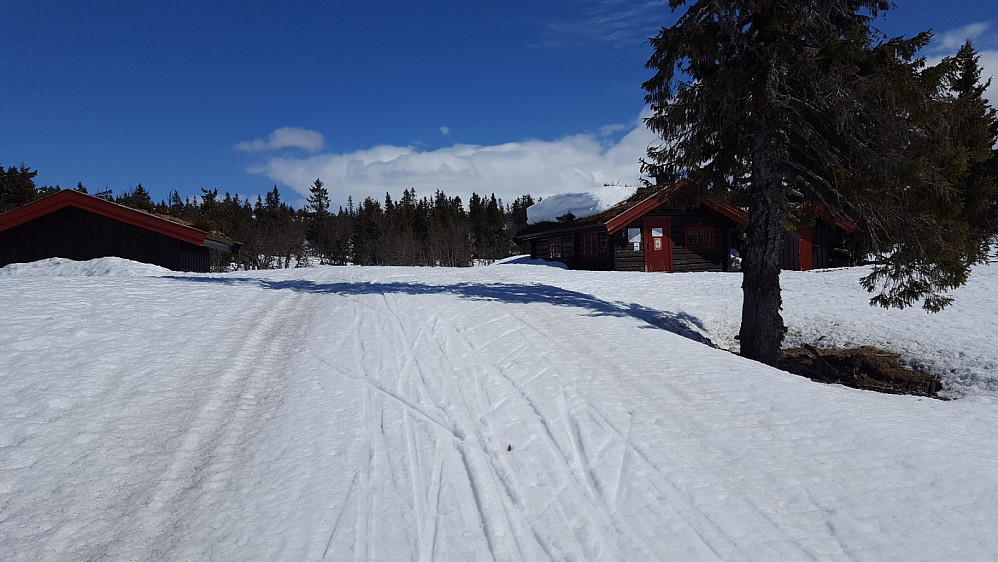 Ved Midtfjellkoia
