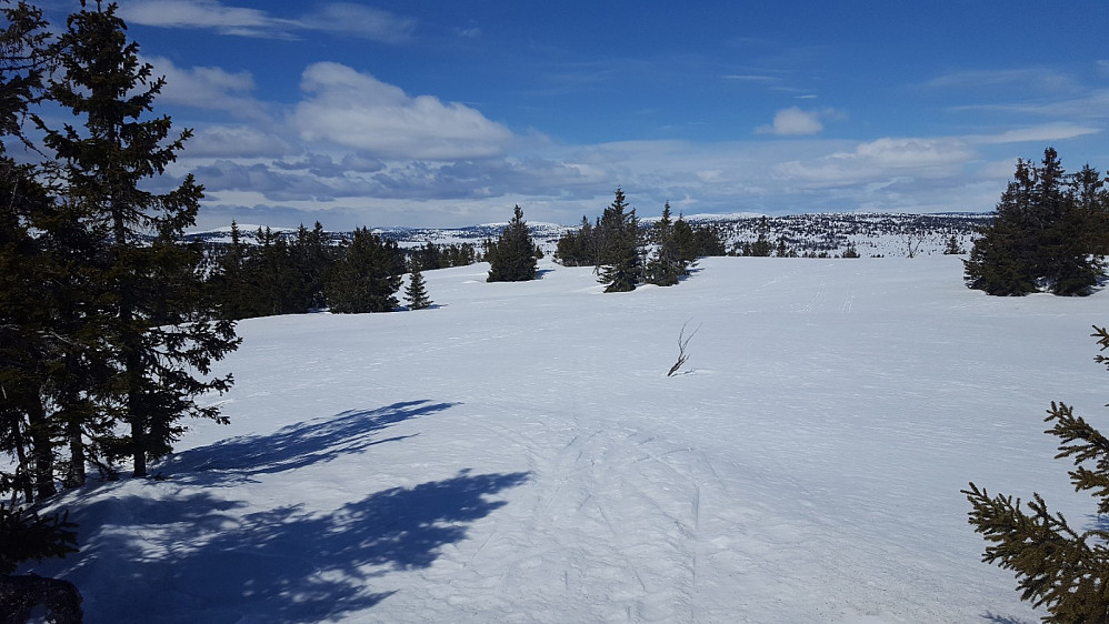 På Gjesbuåsen