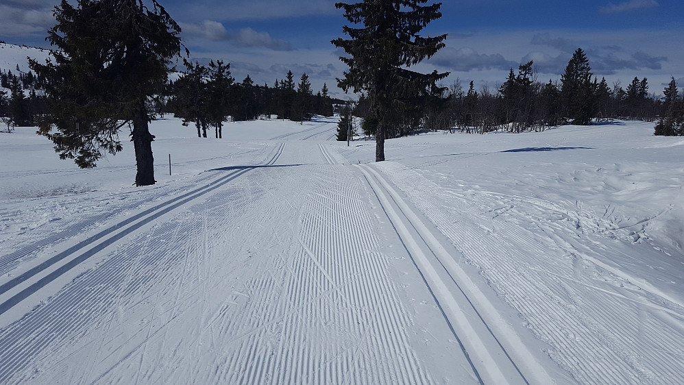 Birkebeinerløypa ved Midtfjellkoia