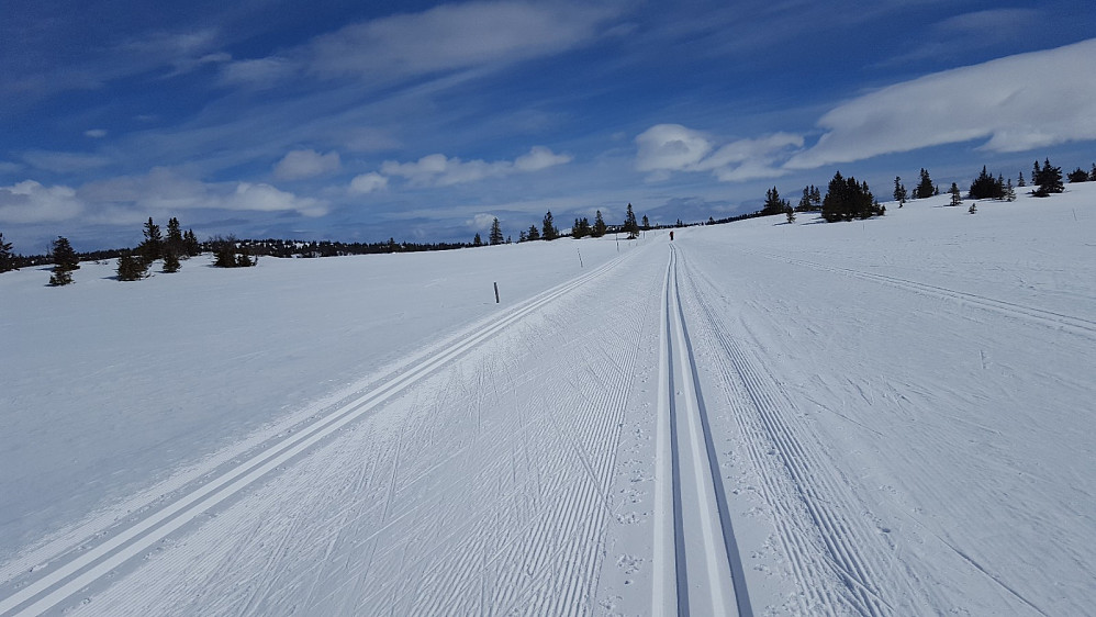 Fine spor i Birkebeinerløypa