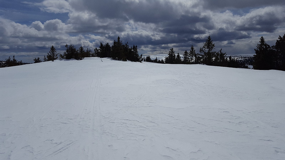 På Gjesbuåsen