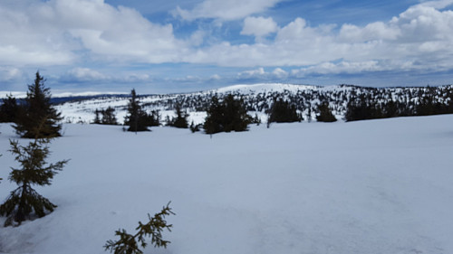 På Gjesboåsen