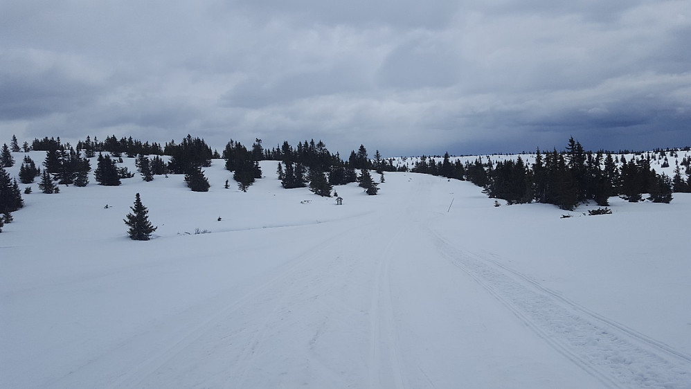 Kriksvika