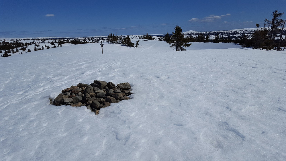 På Vesle Lunkefjell