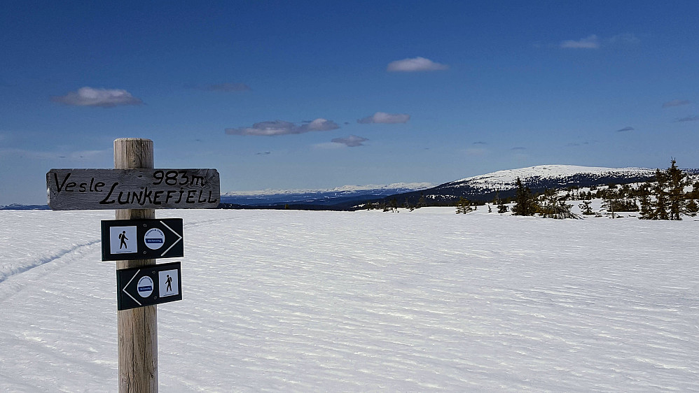På Vesle Lunkefjell