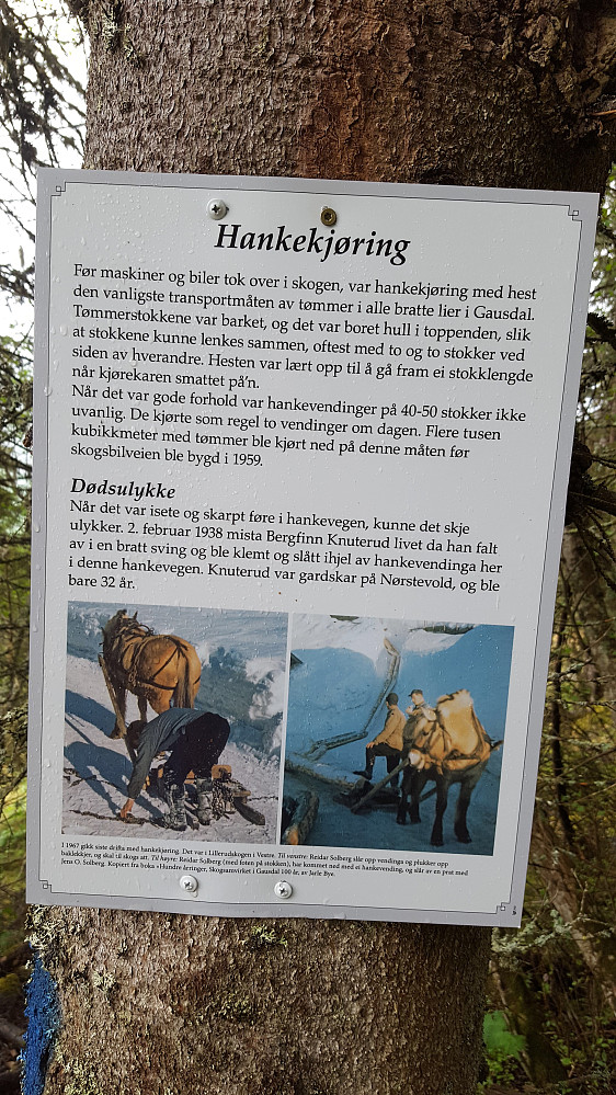 Informasjonsskilt

