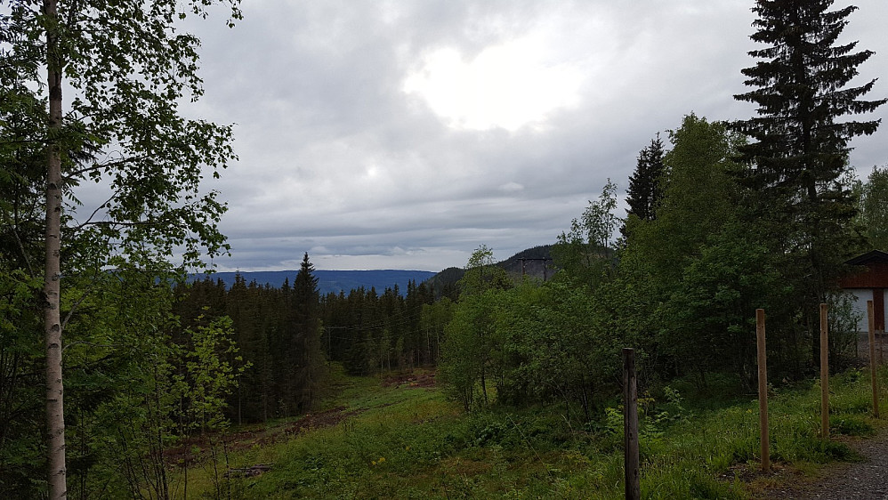 Ved Olasvevegen