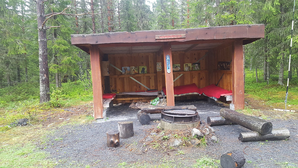 Ved Hammerkoia