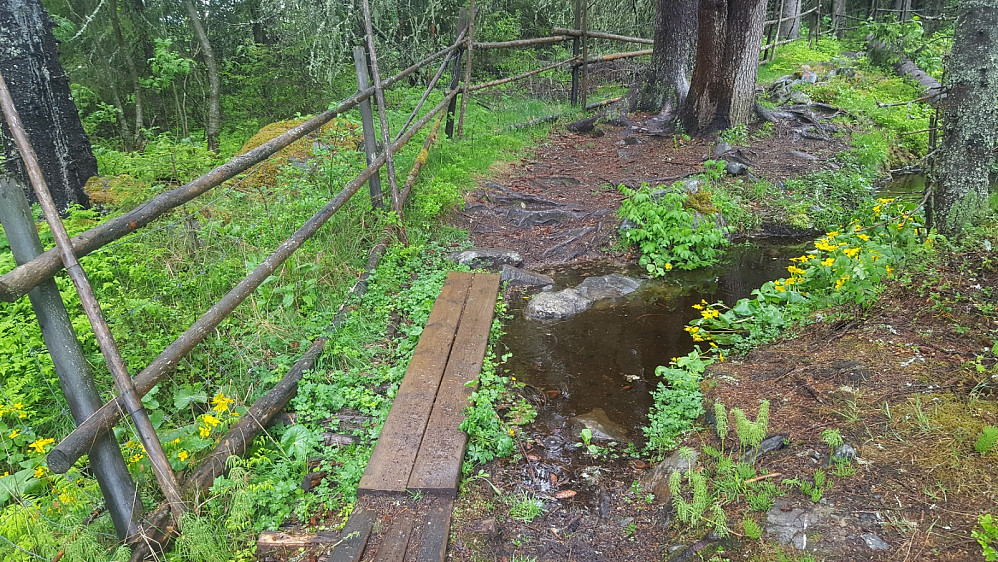 I råket mellom Kanalen og Kanthaugen