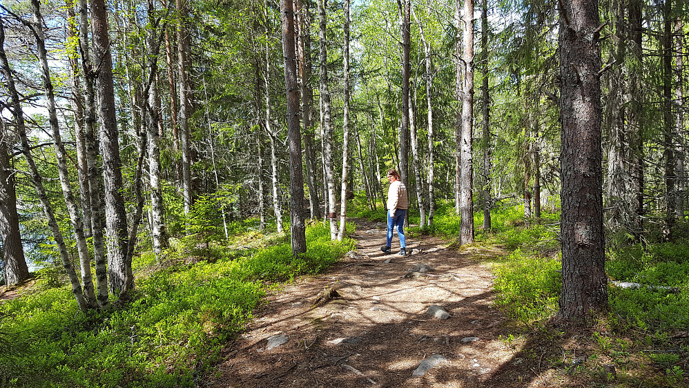 Mot Krokbua