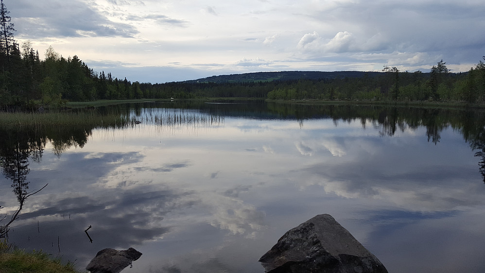 Mot Bottilflø