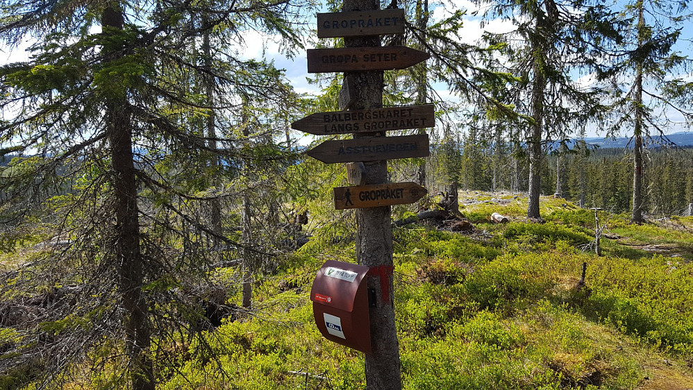Ved stikrysset i Gropråket
