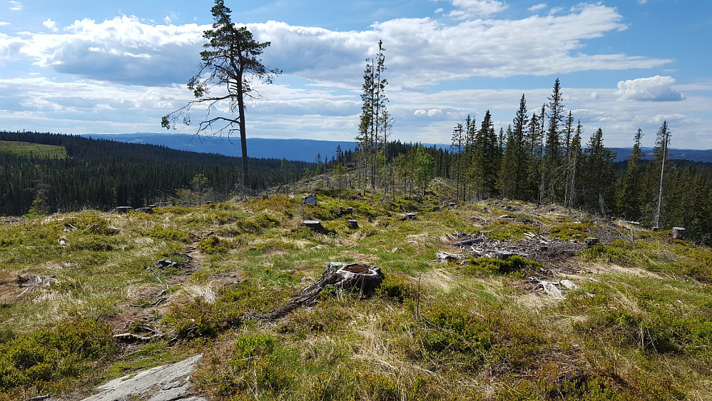 I Gropråket