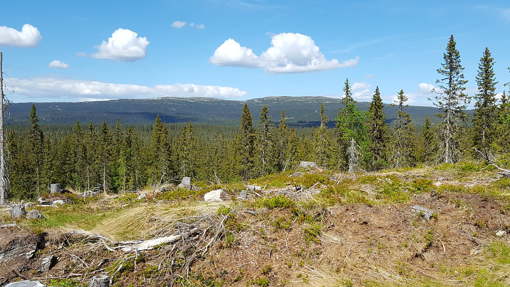 Mot Nevelfjell fra Gropråket