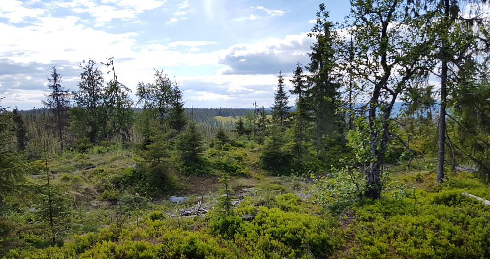 På Høgrabben