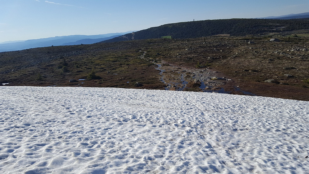 Snøparti