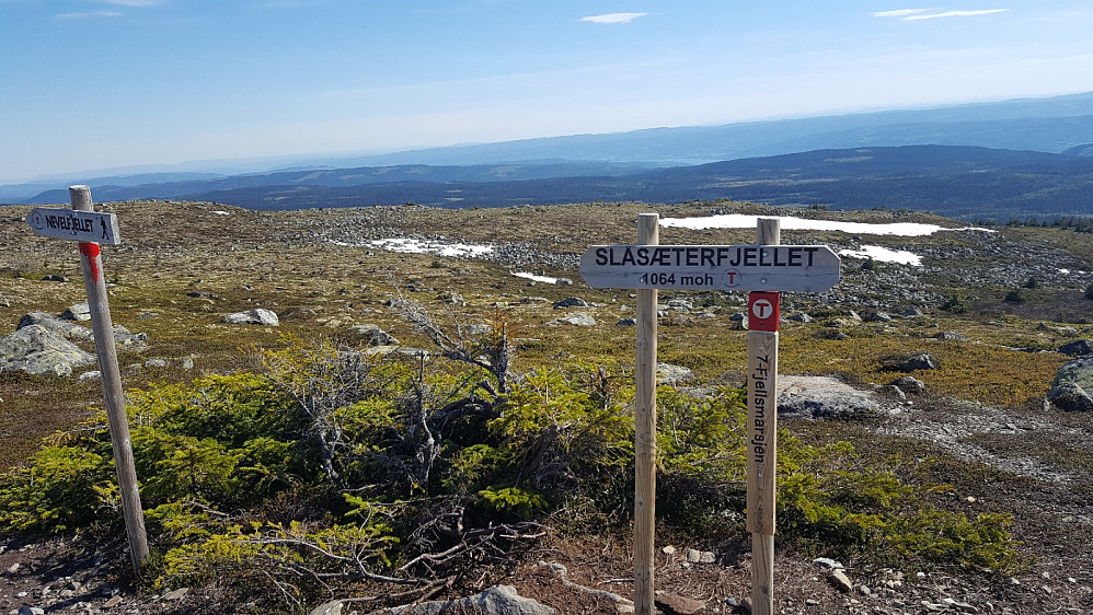 På Slåseterfjellet