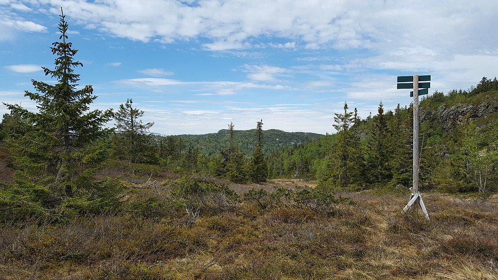 Ser mot Kjettberget/Torpevassfjellet