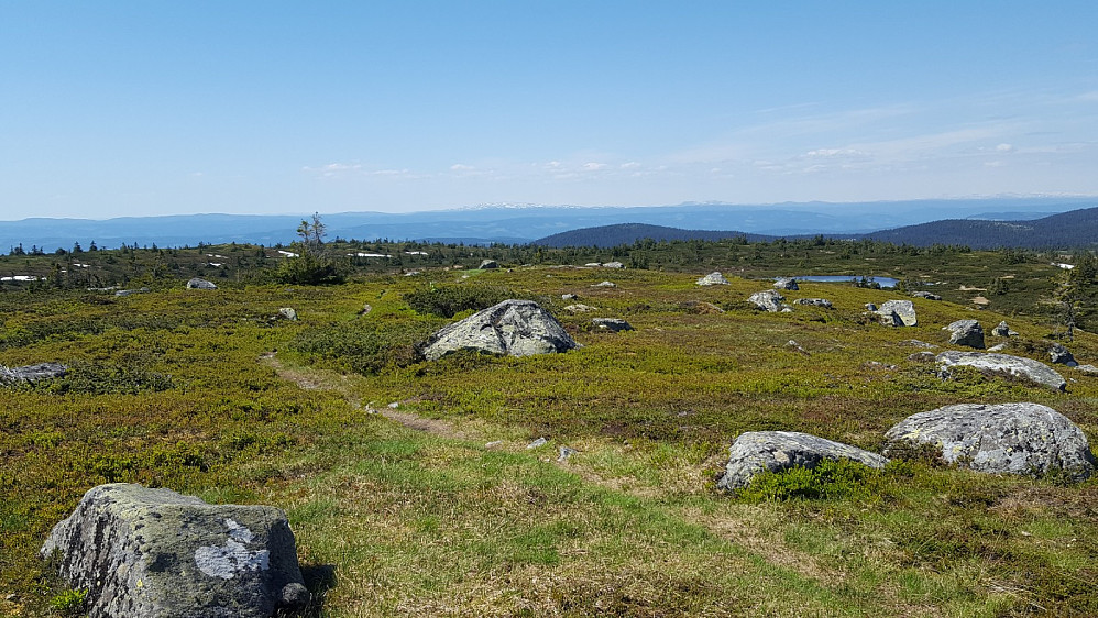 På Høgfjellet