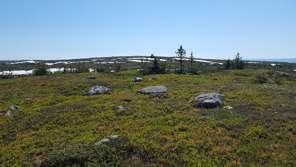 På Høgfjellet