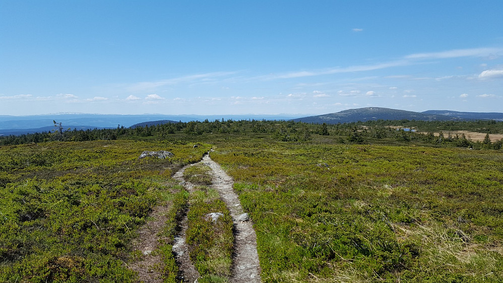 Mot Nevelfjell