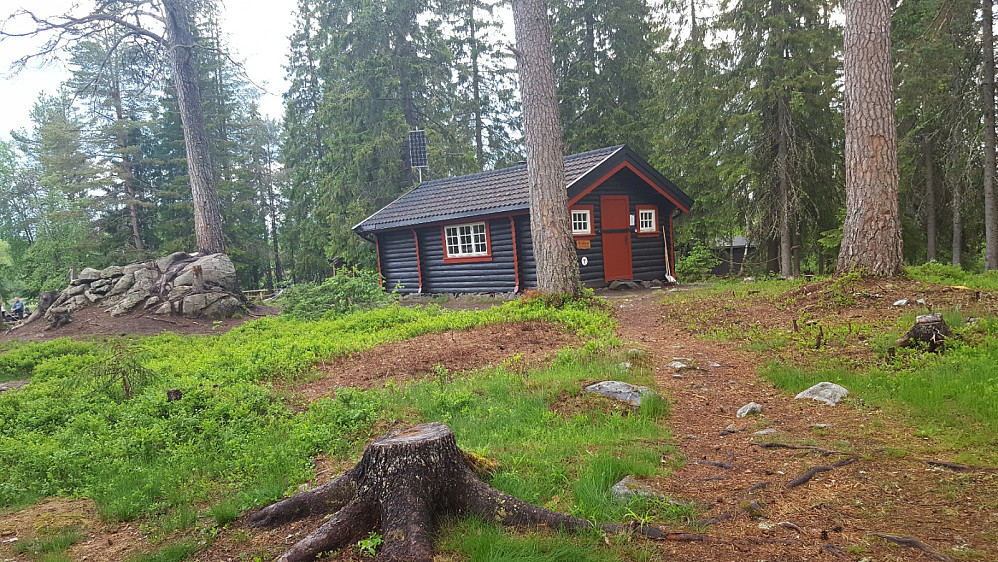 Ved Krokbua