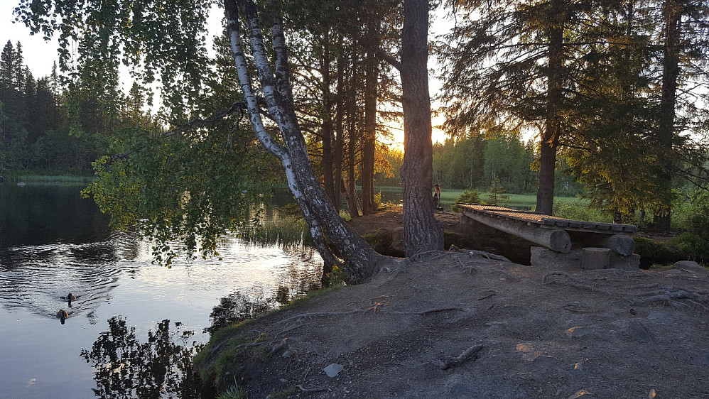 Ved Krokbua