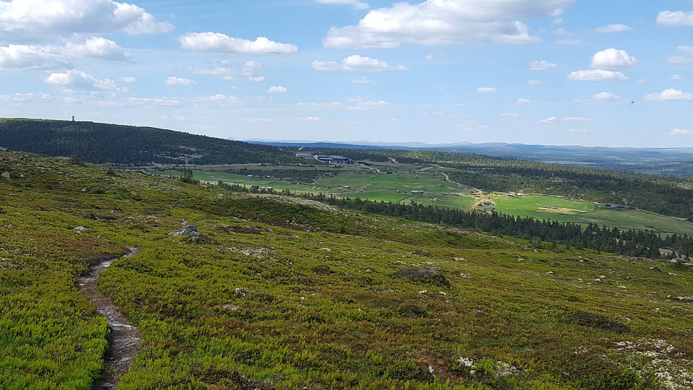 Mot Pellestova