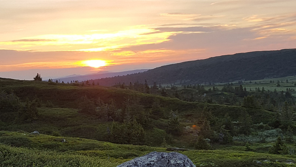 Solnedgang over Svangkampen