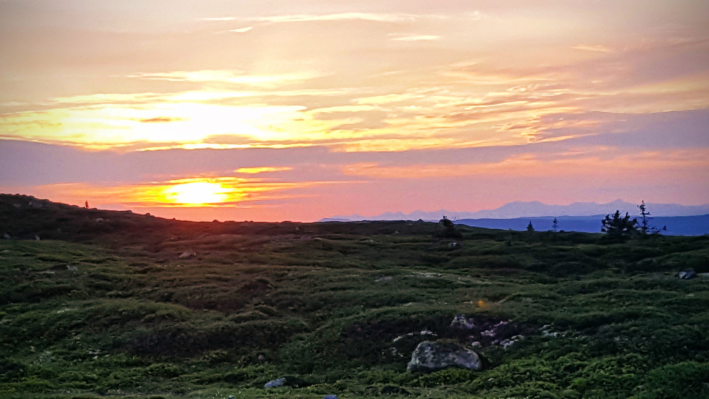 På Reinsfjellet, mot Rondane