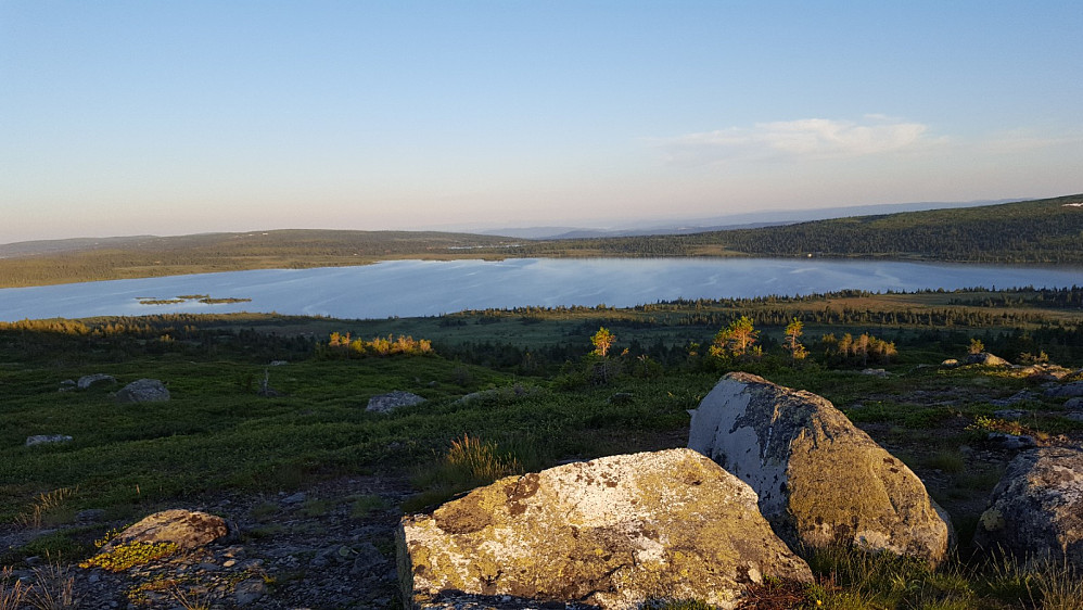 På Reinsfjellet