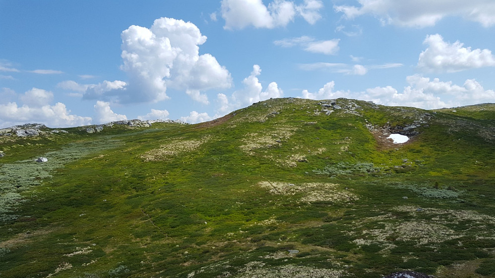 På Tålåberget
