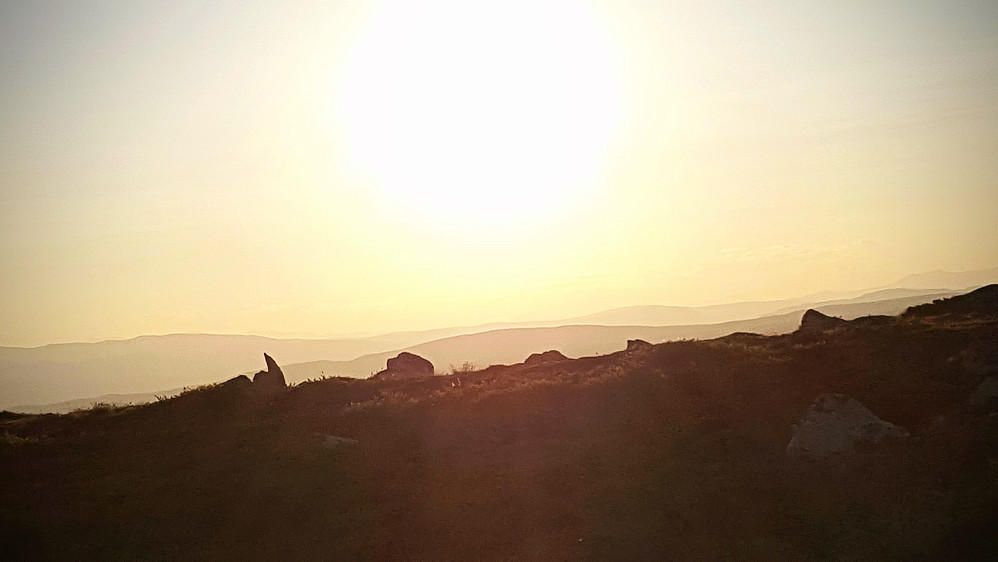 På Reinsfjellet