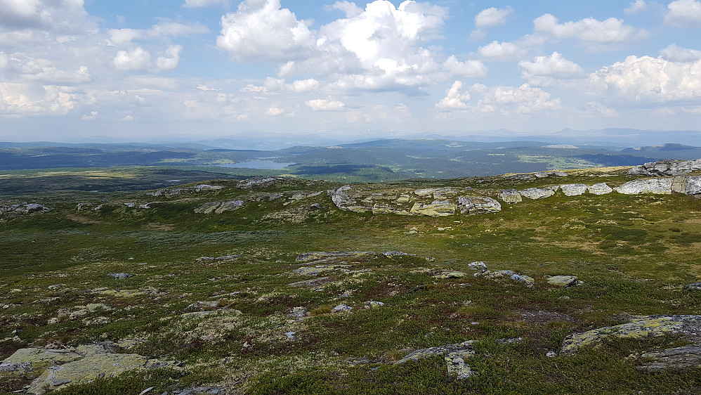 På Gråkampen