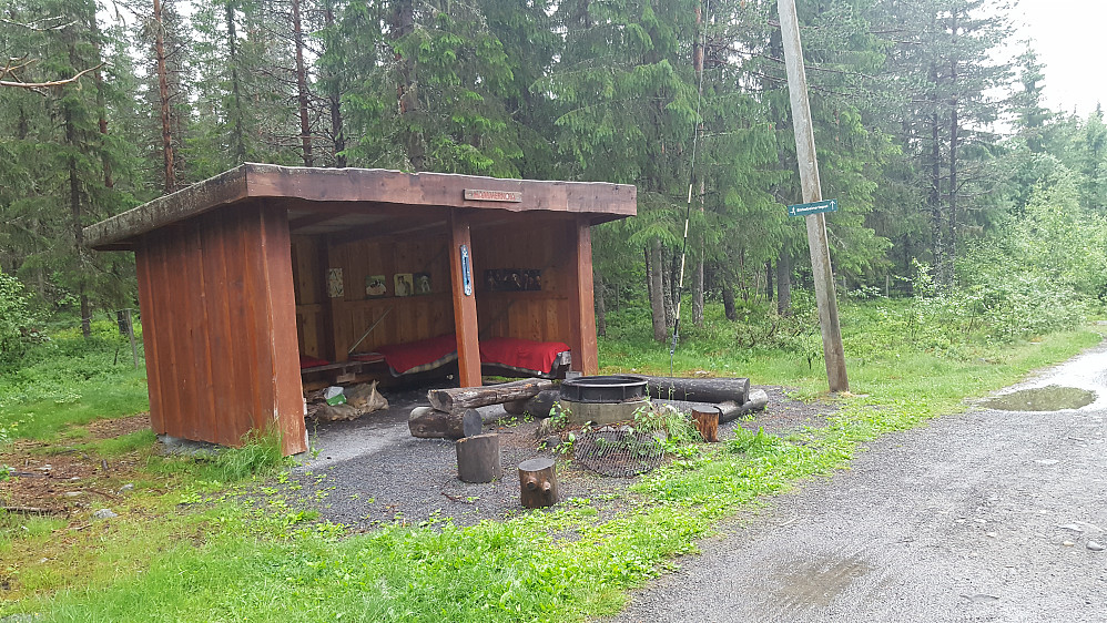 Hammerkoia