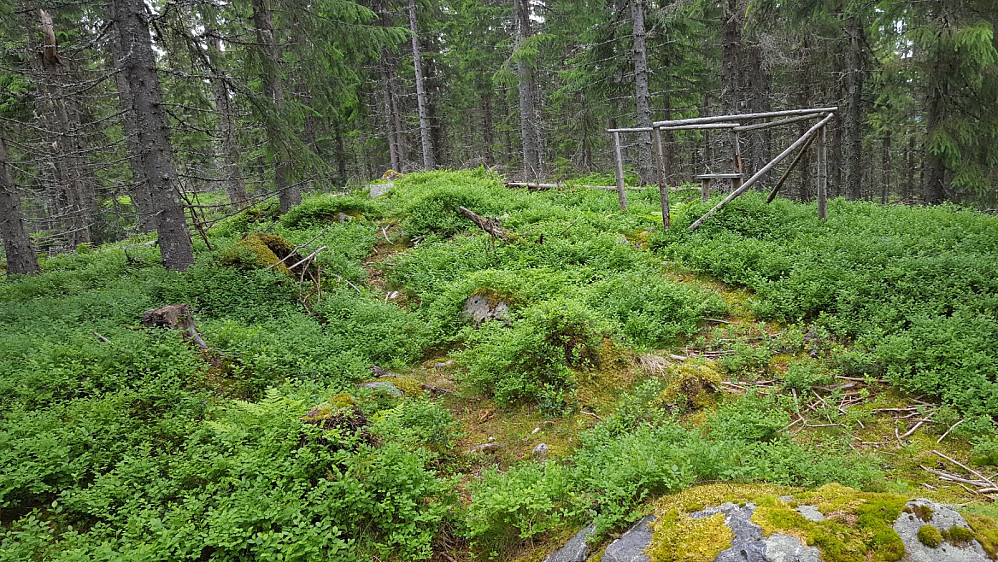 På «toppen»