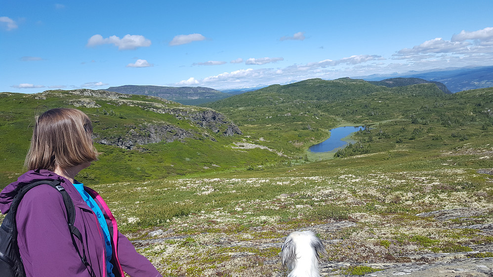 På Roåkerknappen nord