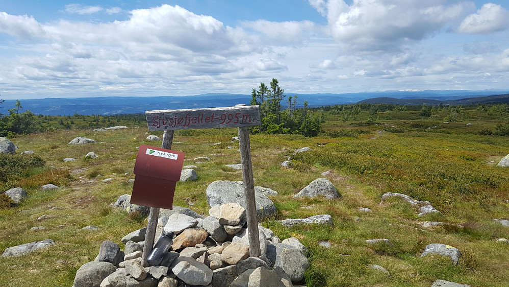 På Sjusjøfjellet