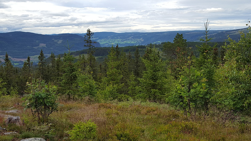 På Balbergkampen