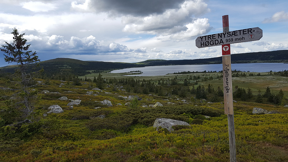 På Ytre Nysæterhøgda