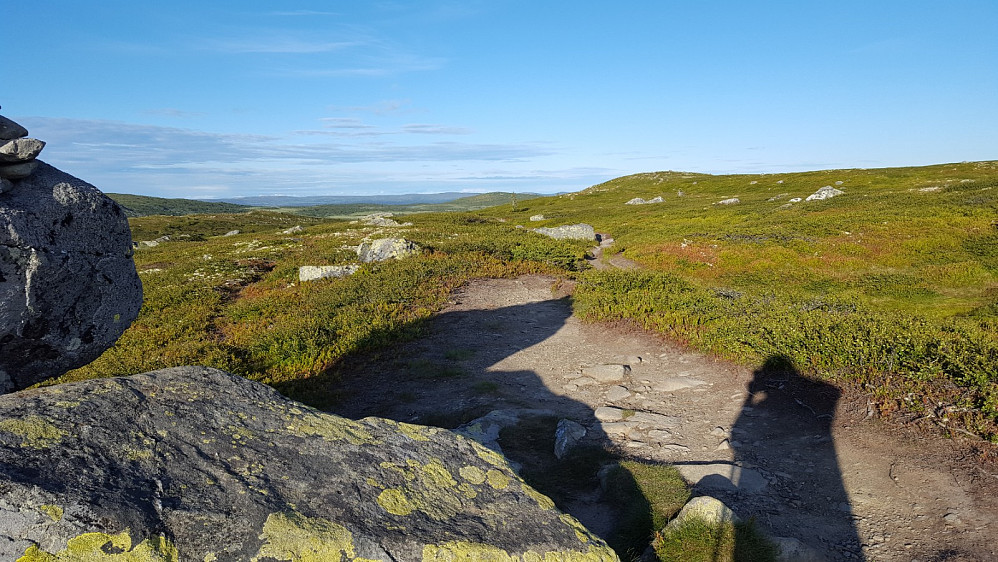 Tilbake mot Reinsfjellet