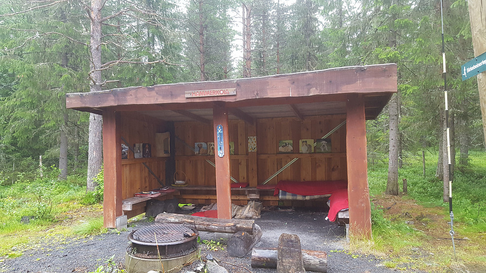 Ved Hammerkoia