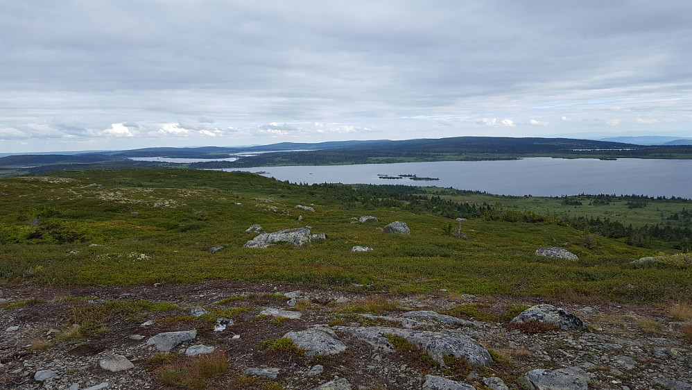 På Reinsfjellet
