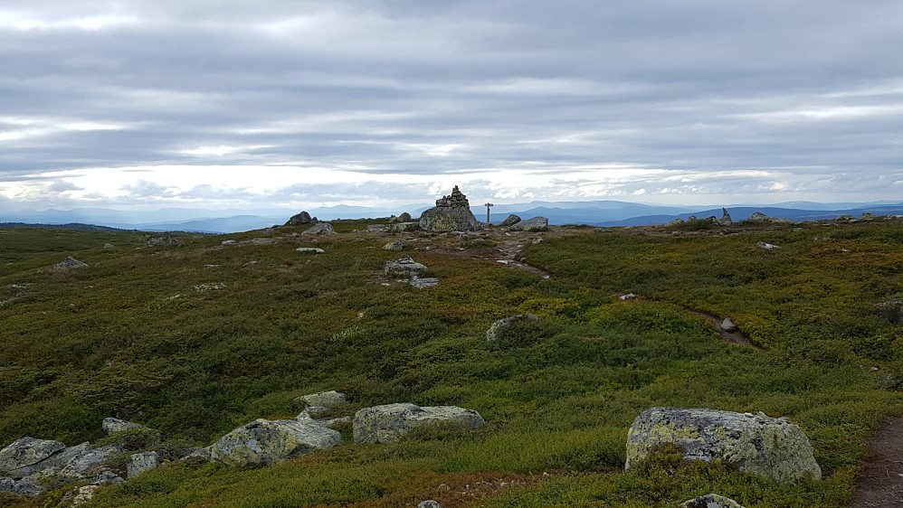 På Reinsfjellet|center]

[[image:sinyg_20200807_5f2d81137392c.jpg|På vei ned fra Reinsfjellet