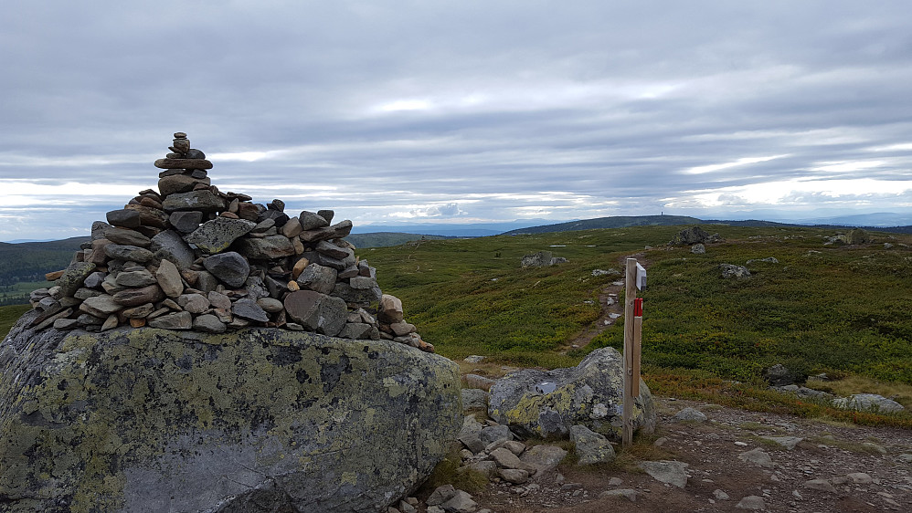 På Reinsfjellet