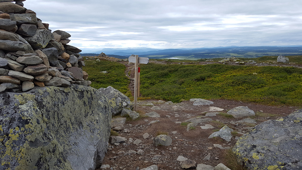 På Reinsfjellet