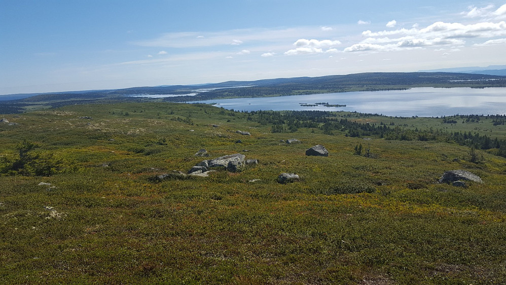 På Reinsfjellet