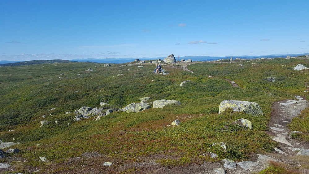 På Reinsfjellet